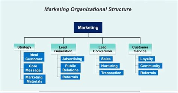What is the meaning of marketing organization?