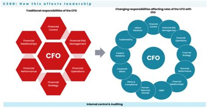 What is the role of a CFO in a non profit organization?