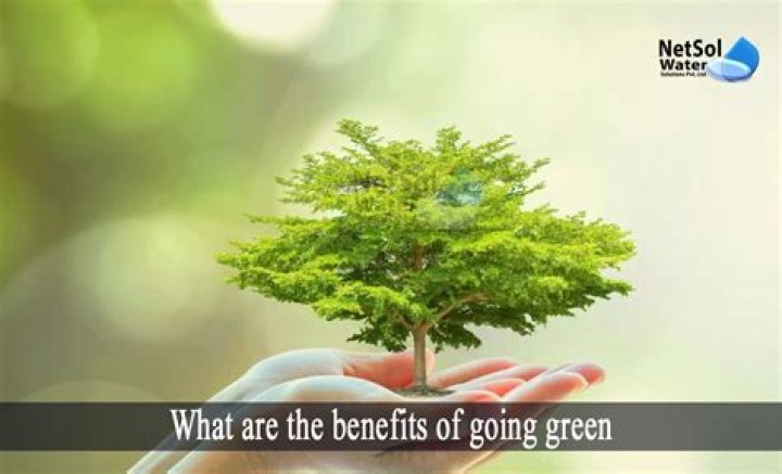 What is your personal idea of going green?