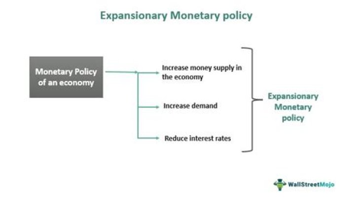 What role does politics play in shaping the fiscal and monetary policy?
