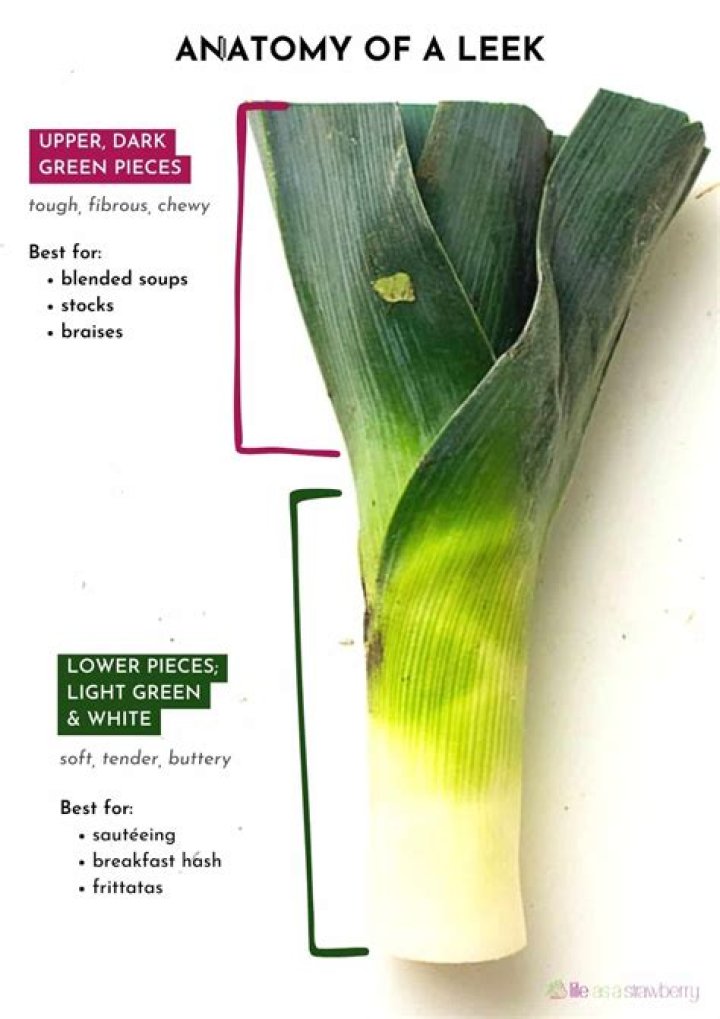 Which end of the leek do you use?