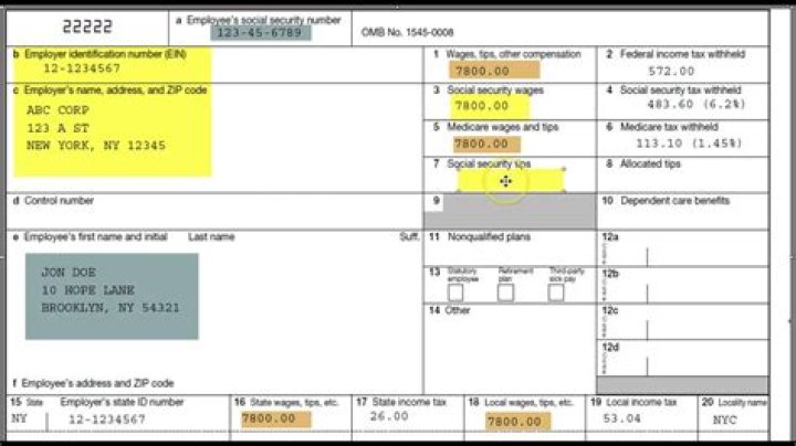 Which line tells you how much you get back in taxes?