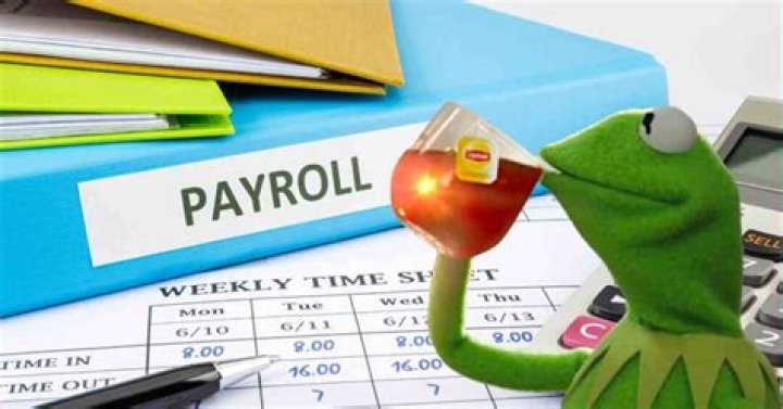 Who is responsible for payroll errors?