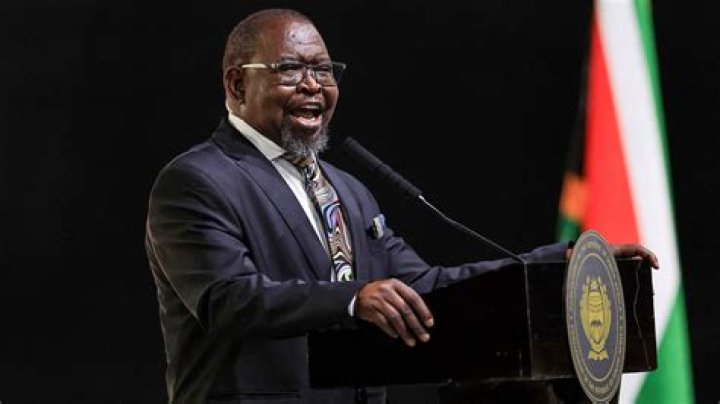Who is the Minister of Finance in South Africa now 2021?