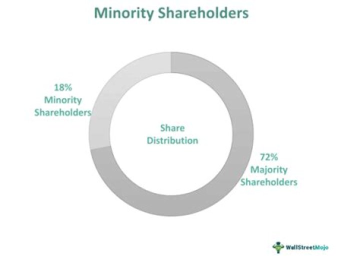 Why are minority shareholders important?